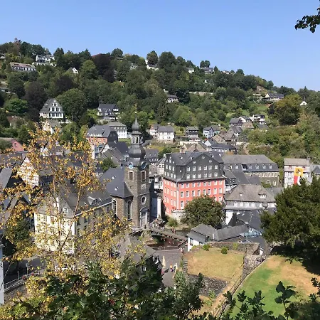 Holgenbach - Penthouse Und Im Nationalpark Eifel Lejlighed