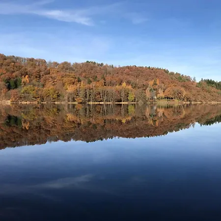 Holgenbach - Penthouse Und Im Nationalpark Eifel 公寓 施莱登