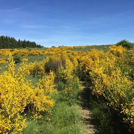 Holgenbach - Penthouse- Und Im Nationalpark Eifel Schleiden