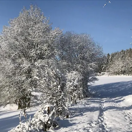 Holgenbach - Penthouse Und Im Nationalpark Eifel Lejlighed *