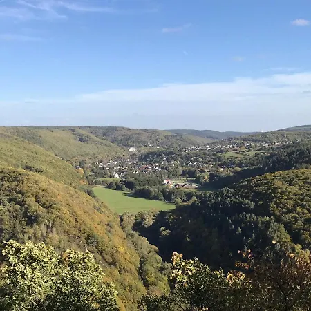 Holgenbach - Penthouse Und Im Nationalpark Eifel Apartamento