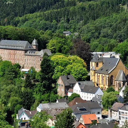 Holgenbach - Penthouse Und Im Nationalpark Eifel 公寓