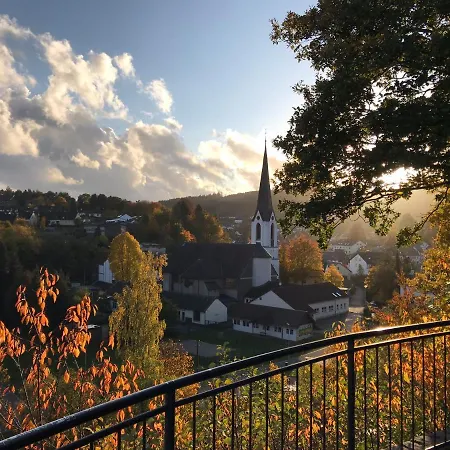 Holgenbach - Penthouse- Und Im Nationalpark Eifel * Schleiden