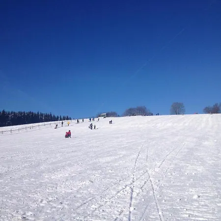 公寓 Holgenbach - Penthouse Und Im Nationalpark Eifel *