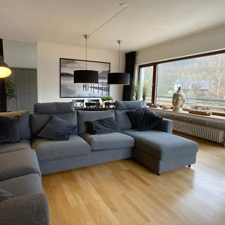 Holgenbach - Penthouse- Und Im Nationalpark Eifel Apartment Schleiden