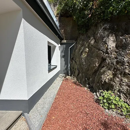 Holgenbach - Penthouse Und Im Nationalpark Eifel