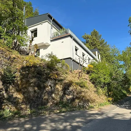 Holgenbach - Penthouse Und Im Nationalpark Eifel Lejlighed *
