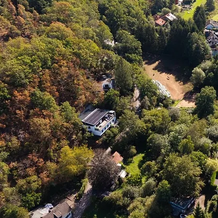 Holgenbach - Penthouse Und Im Nationalpark Eifel Apartmán *