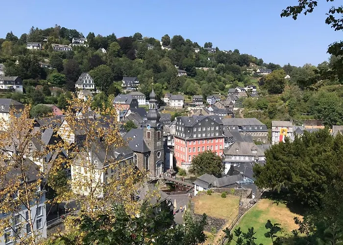 Holgenbach - Penthouse Und Im Nationalpark Eifel Apartmán
