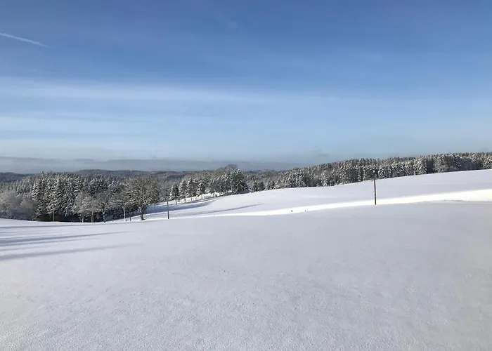 Holgenbach - Penthouse Und Im Nationalpark Eifel Шляйден