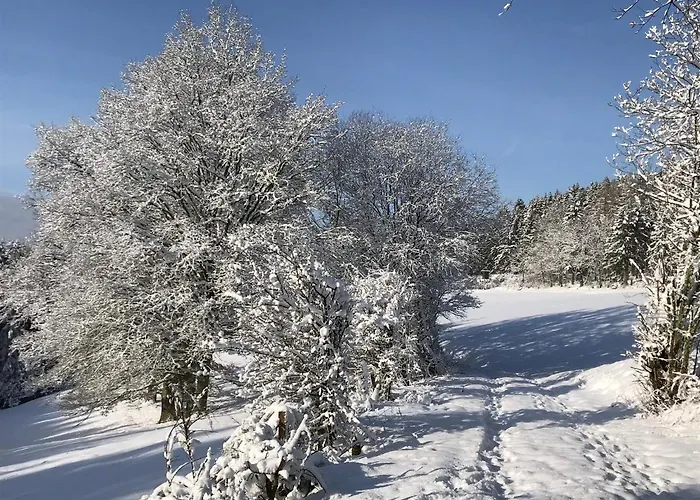 Holgenbach - Penthouse Und Im Nationalpark Eifel Апартаменты *