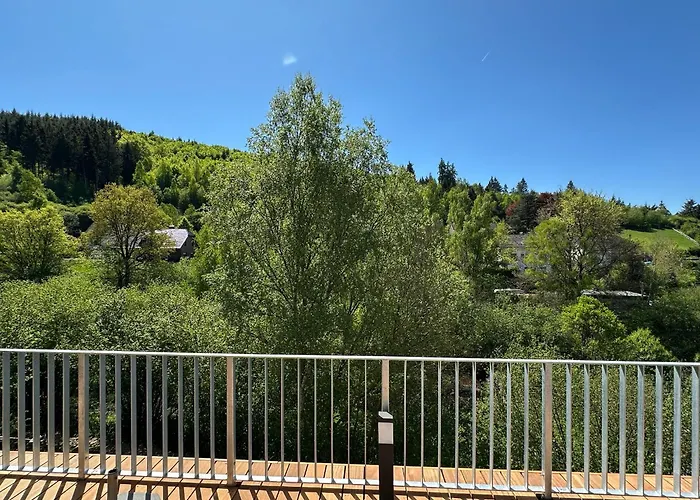 Holgenbach - Penthouse Und Im Nationalpark Eifel *