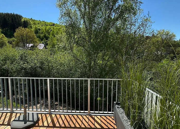 Апартаменты Holgenbach - Penthouse Und Im Nationalpark Eifel