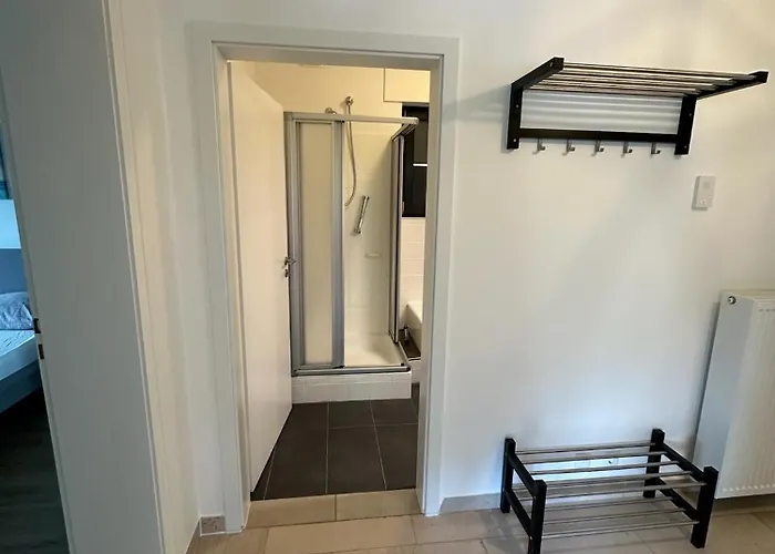 Holgenbach - Penthouse Und Im Nationalpark Eifel Schleiden